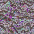 Variation 7