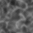 Bump Map