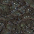 Variation 3