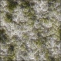 SGAlienFlesh1