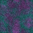 Diffuse Map