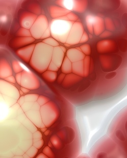 Brain Jelly Cuisine