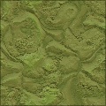 wet mud & grass