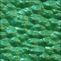Animal Scales