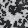 Variation 7