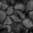 Bump Map