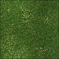 flowerfield