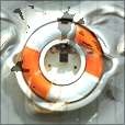 Variation 5