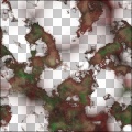 organic_disease