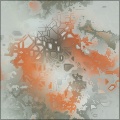 Urban Design Contest