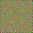 Variation 5
