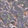 Milky Rocks