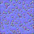 Normal Map