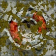 Variation 6