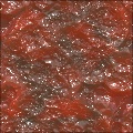 Whot_got_sick with bkground