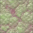 Variation 4