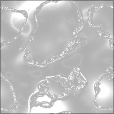 Bump Map