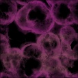 Diffuse Map