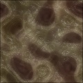 Organics (Basic)