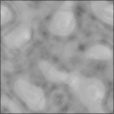 SpecExponent Map