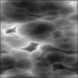 Bump Map