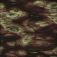 Variation 3
