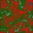 Diffuse Map