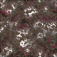 Variation 5