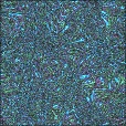 Variation 7