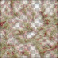 Alein_mucus