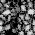 SpecStrength Map
