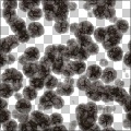 Spores