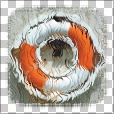 Variation 6