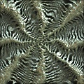 Quantum Weave