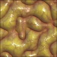 Variation 6