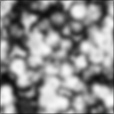 Bump Map