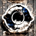 Photo Destruction