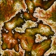Diffuse Map
