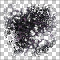 Encrusted 1