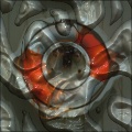 My photo's veins