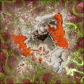 My photo got sick