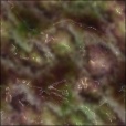 Variation 3