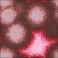 Diffuse Map