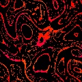 Blood Vessels