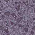Diffuse Map