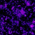 Diffuse Map