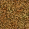 DinosaurSkin