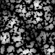 Bump Map