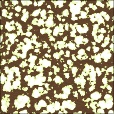 Diffuse Map