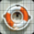 Variation 7
